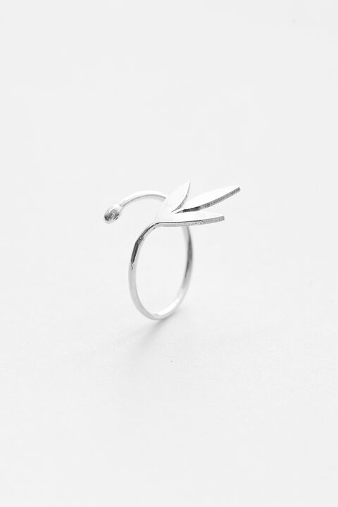 Каблучка Spring