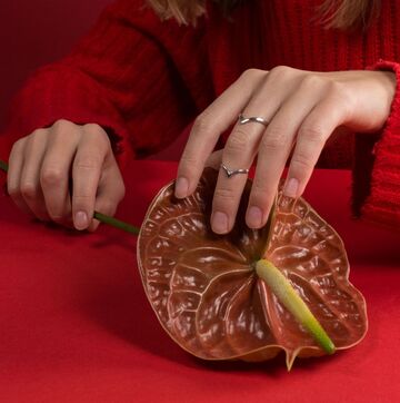 Каблучка Галочки