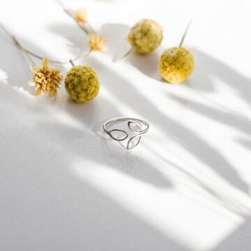 Каблучка Пелюстки