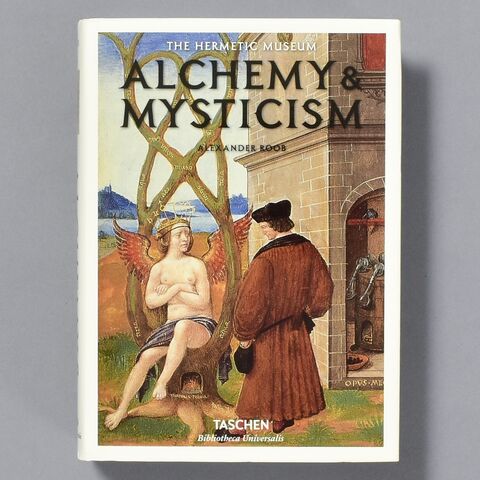 Alchemy & Mysticism by Alexander Roob