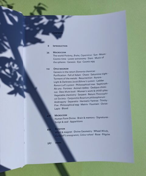 Alchemy & Mysticism by Alexander Roob