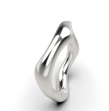 Ring Sculpt 4