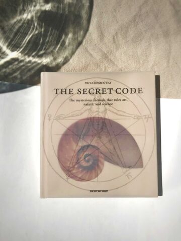 The Secret Code by Priya Hemenway