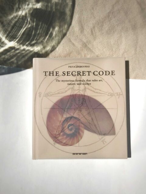 The Secret Code by Priya Hemenway