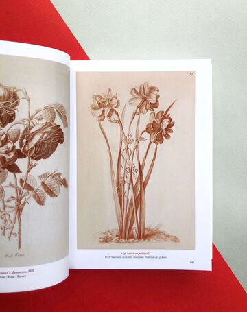 A Garden Eden: Masterpieces of Botanical Illustration