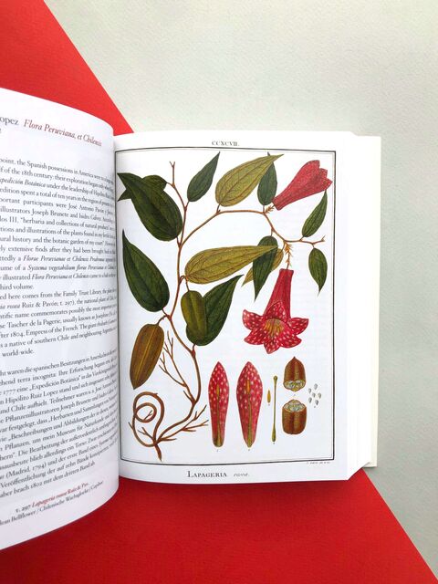 A Garden Eden: Masterpieces of Botanical Illustration