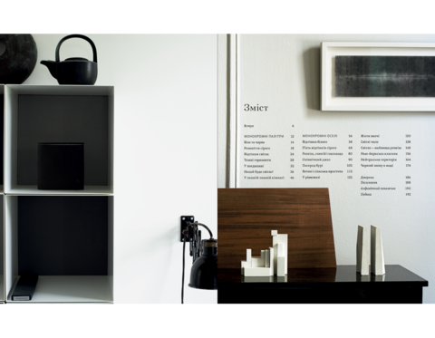 Monochrome home. Exquisite interiors in black and white