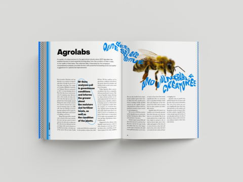THINKING BIG: INNOVATION IN UKRAINE