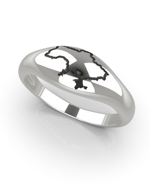 Кольцо Украина