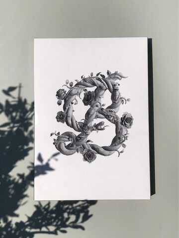 Загмастер и Волш. Красота (без серебряной обработки края)