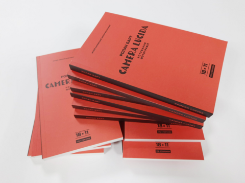 Roland Barthes. "Camera Lucida. Annotating a photo"