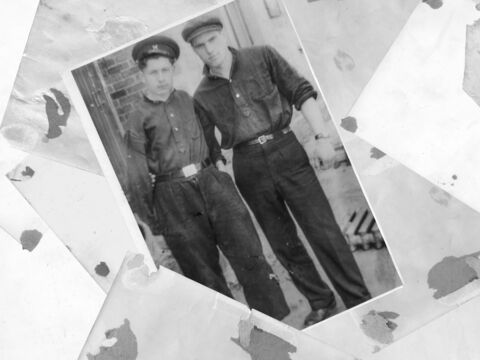 Хлебное перемирие