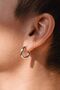 Earrings Rings