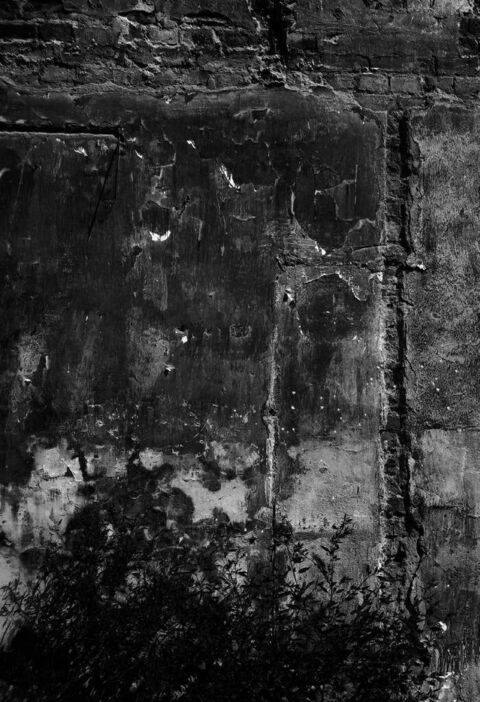 Жизнь Марии. Жадан