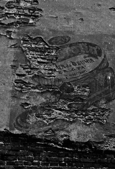 Жизнь Марии. Жадан