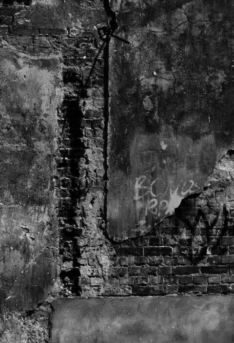 Жизнь Марии. Жадан