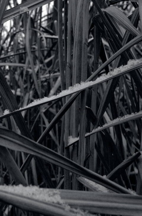 Псалом авиации. Жадан