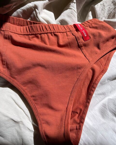 A set of underwear Terracotta Sweet