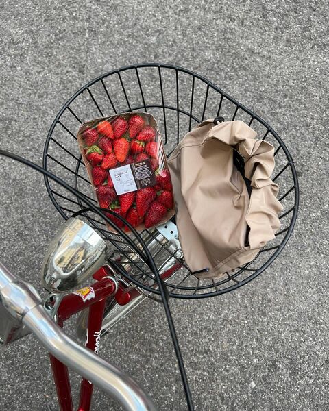 Бежева сумка LILA