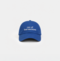 Blue cap Ceo of bad decisions