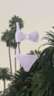 Lilac swimsuit Playa Grande