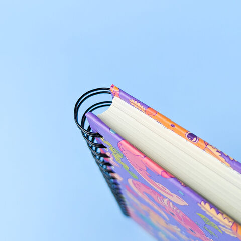 Блокнот Аксолотлі