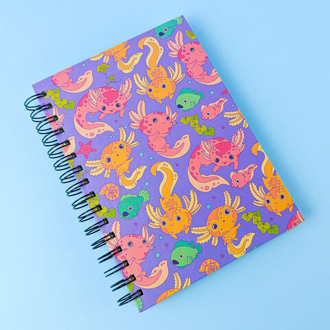 Блокнот Аксолотлі