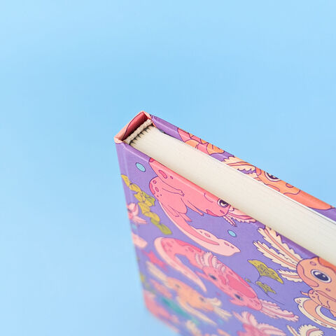 Блокнот Аксолотлі