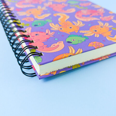 Блокнот Аксолотлі