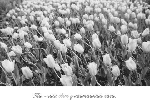 Postcard You are my world in the darkest times