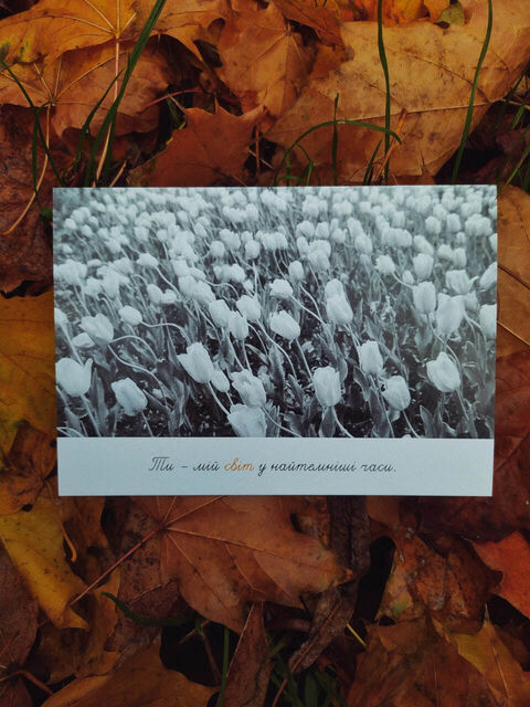 Postcard You are my world in the darkest times