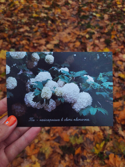 Postcard You are the most beautiful flower in the world