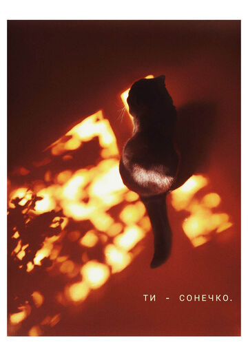 Postcard You are a sunshine