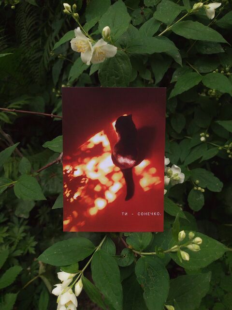 Postcard You are a sunshine