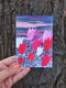 Postcard Tulips in Kherson field (collage)