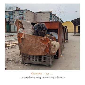 Postcard. Love is to give a family to a lonely tail