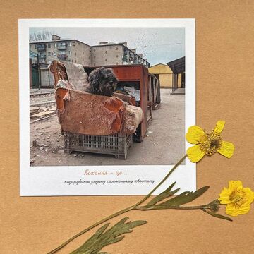 Postcard. Love is to give a family to a lonely tail