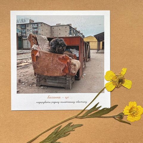 Postcard. Love is to give a family to a lonely tail