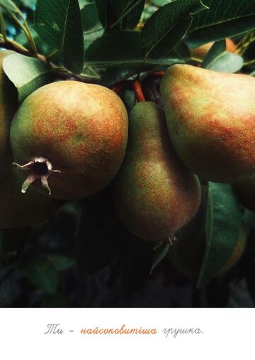 Postcard You are the juiciest pear