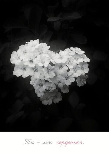 Postcard You are my heart