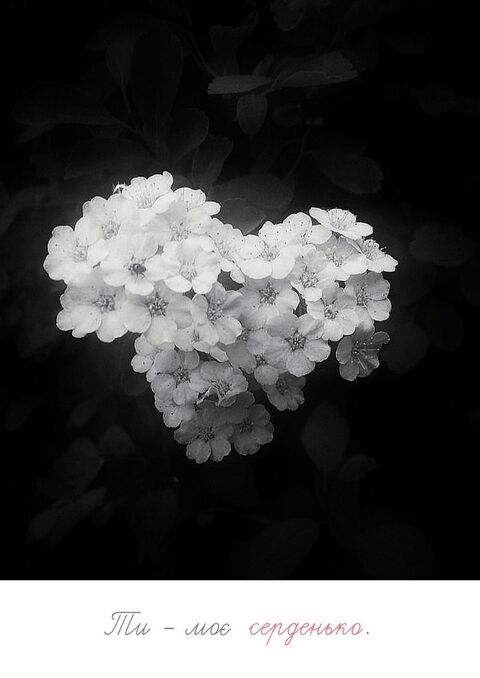 Postcard You are my heart