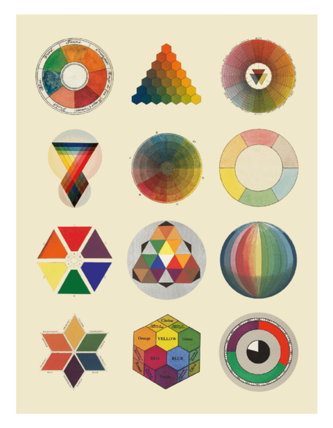 Anatomy of color. Patrick Batey