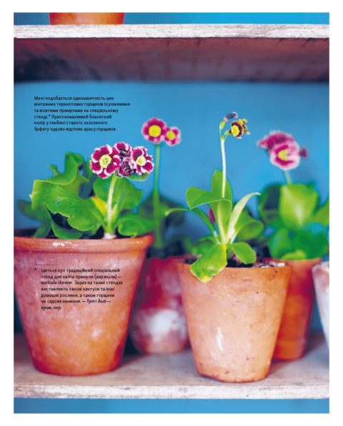 #shelfie: How to style and display your collections