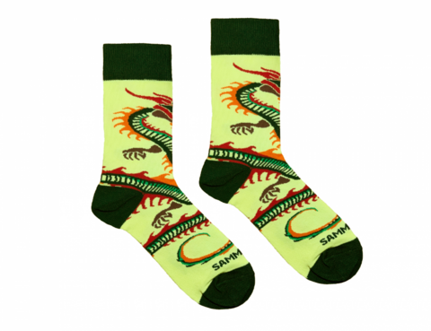 Шкарпетки Lizard