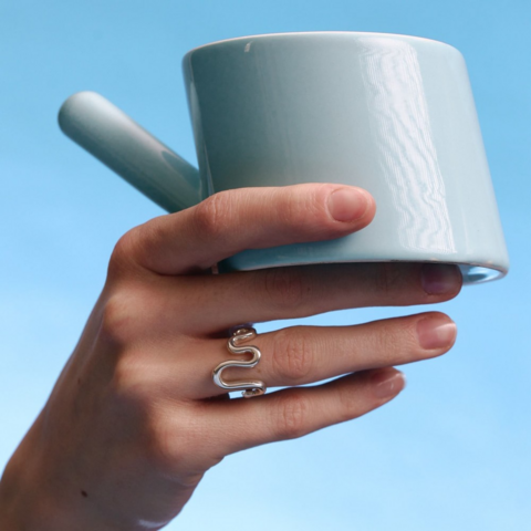 Каблучка Звивини