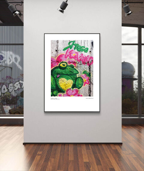 Poster Dnipro Frogs 3