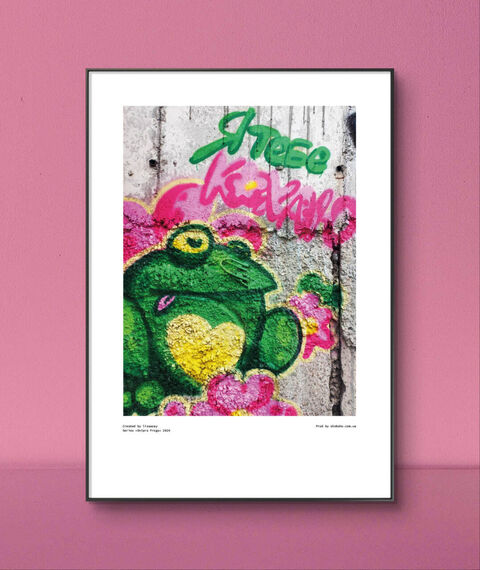 Poster Dnipro Frogs 3