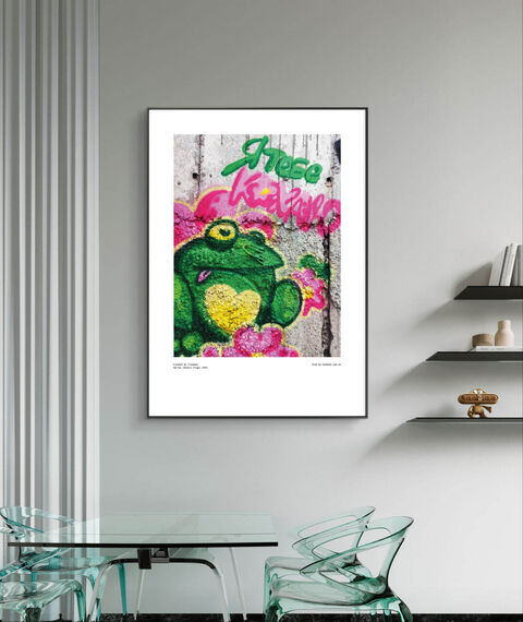 Poster Dnipro Frogs 3