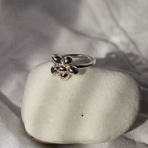 Ring Chichka