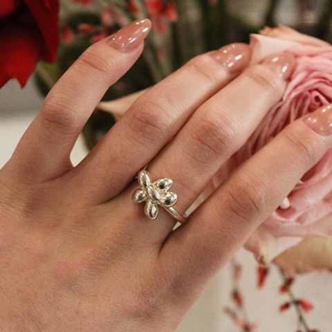 Ring Chichka